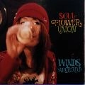 SOUL FLOWER UNION / ソウル･フラワー･ユニオン / ＷＩＮＤＳ　ＦＡＩＲＧＲＯＵＮ