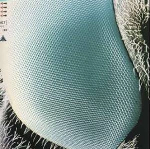 BOOM BOOM SATELLITES / ブンブンサテライツ / フォグバウンド / FOGBOUND