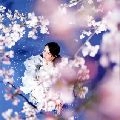 CHITOSE HAJIME / 元ちとせ / 春のかたみ
