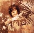 TAVITO NANAO / 七尾旅人 / 雨に撃たえば．．．！ｄｉｓｃ　２
