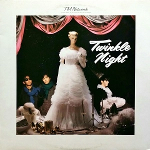 TM NETWORK / ティー・エム・ネットワーク / TWINKLE NIGHT