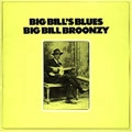 BIG BILL BROONZY / ビッグ・ビル・ブルーンジー / ビッグ・ビルズ・ブル―ス