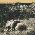 BONNIE PINK / ボニー・ピンク / Ｂｏｎｎｉｅ'ｓ Ｋｉｔｃｈｅｎ＃１