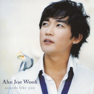 AHN JAE WOOK / アン・ジェウク / SOUNDS LIKE YOU