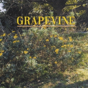 GRAPEVINE / 指先/COME ON