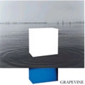 GRAPEVINE / イデアの水槽（期間限定）