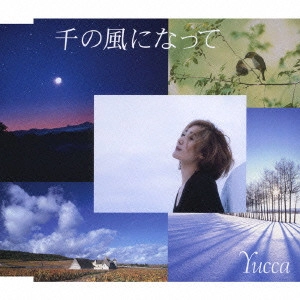 Yucca / 千の風になって