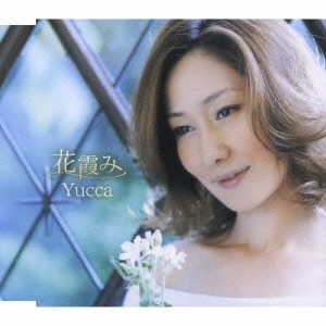 Yucca / 花霞み