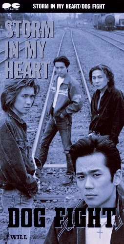 DOG FIGHT / ドッグファイト / STORM IN MY HEART