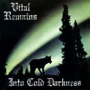VITAL REMAINS / ヴァイタル・リメインズ / イントゥ･コールド･ダークネス