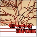 GRAPEVINE / Ｃｈｒｏｎｏｌｏｇｙ　ａ　ｙｏ