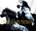 THE YELLOW MONKEY / ザ・イエロー・モンキー / ＭＯＴＨＥＲ　ＯＦ　ＡＬＬ　Ｔ
