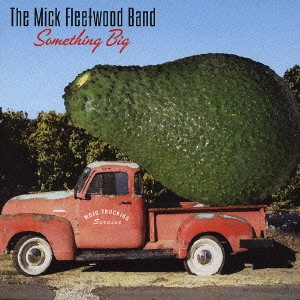 MICK FLEETWOOD / ミック・フリートウッド / サムシング・ビッグ / Something Big
