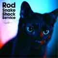 KENICHI ASAI / 浅井健一 / Rod Shake Shock