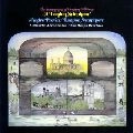 ANDRE PREVIN / アンドレ・プレヴィン / Ｖ・ウィリアムズ：交響曲全集Ⅱ