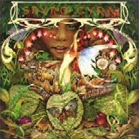 SPYRO GYRA / スパイロ・ジャイラ / モーニング・ダンス