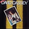 DAVID CASSIDY / デヴィッド・キャシディ / 恋の大通り（紙）
