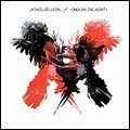 KINGS OF LEON / キングス・オブ・レオン / オンリー・バイ・ザ・ナイ（期間