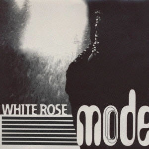 MODE / WHITE ROSE