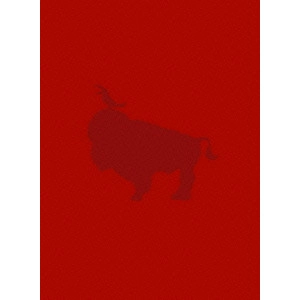 SUKIMASWITCH / スキマスイッチ / "スキマスイッチ ARENA TOUR'07 “W-ARENA"" THE MOVIE"