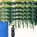 BONNIE PINK / ボニー・ピンク / Ｔａｋｅ　Ｍｅ　Ｉｎ