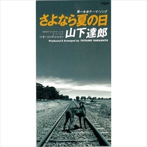 TATSURO YAMASHITA / 山下達郎 / さよなら夏の日