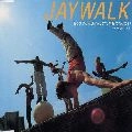 JAYWALK / ジェイウォーク / もう一人の自分を、君に今日会わ