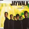 JAYWALK / ジェイウォーク / 何も言えなくて・・・夏