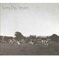 Sunny Day Service / サニーデイ･サービス / サニーデイサービス / SUNNY DAY SERVICE