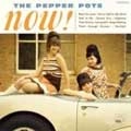 PEPPER POTS / ペッパーポッツ / ｎｏｗ！