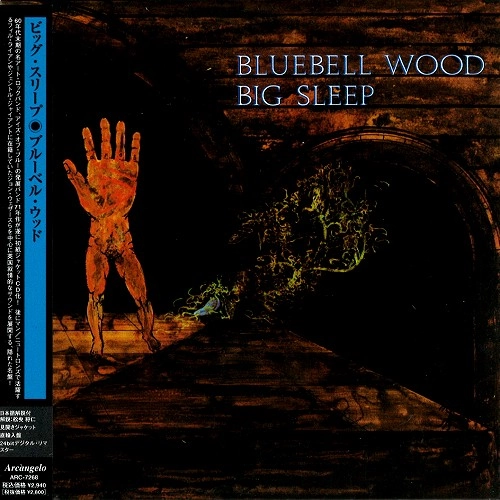 BIG SLEEP / ビッグ・スリープ / ブルーベル･ウッド