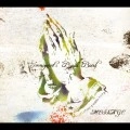 Immigrant's Bossa Band / イミグランツボッサバンド / Ｍｅｓｓａｇｅ