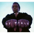 LEE FIELDS & THE EXPRESSIONS / リー・フィールズ&ザ・エクスプレッションズ / ＭＹ　ＷＯＲＬＤ
