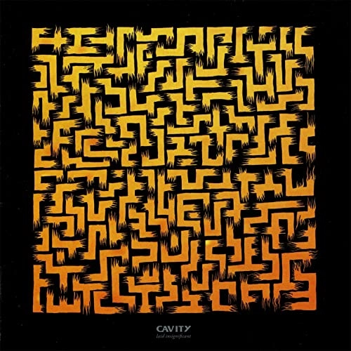 CAVITY / キャビティー / ＬＡＩＤ　ＩＮＳＩＧＮＩＦＩＣＡＮＴ