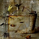 殻 / 剥蝕