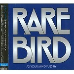 RARE BIRD / レア・バード / アズ・ユア・マインド・フライズ・バイ
