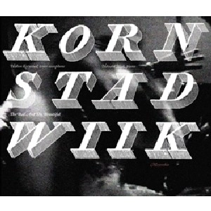 HAKON KORNSTAD & HAVARD WIIK / ホーコン・コーンスタ＆ホーヴァル・ヴィーク / ザ・バッド・アンド・ザ・ビューティフル
