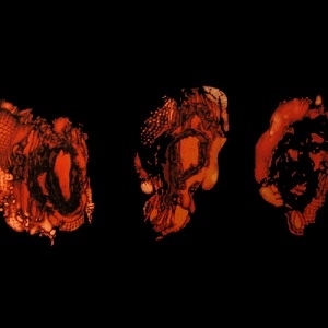 DEATHSPELL OMEGA / デススペル・オメガ / KENOSE