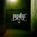 MYPOLLUX / ミュポラックス / DEDALES