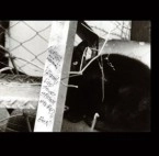 ILLMURA / イルムラ / ORIGINAL LIVE SOUNDSYSTEM STEREO