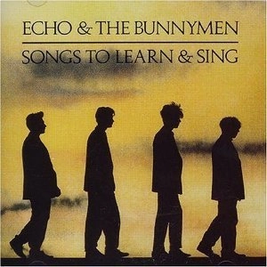 ECHO & THE BUNNYMEN / エコー&ザ・バニーメン / ダンシング・ホーシズ(ザ・シングルズ)