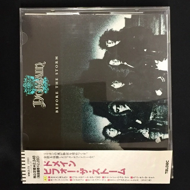 DOMAIN / ドメイン / ビフォー・ザ・ストーム