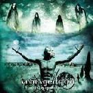 ARMAGEDDON (from Sweden) / アルマゲドン (from Sweden) / エンブレイス・ザ・ミステリー