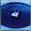 MY LITTLE LOVER / マイ・リトル・ラバー / Ｎｅｗ　Ａｄｖｅｎｔｕｒｅ