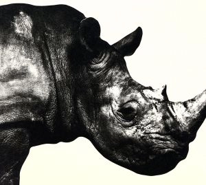 Mr.Children / ミスター・チルドレン / Mr.Children 1992-1995