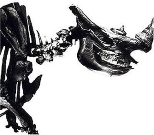 Mr.Children / ミスター・チルドレン / ＭＲ．ＣＨＩＬＤＲＥＮ１９９６－２０００