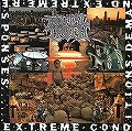 BRUTAL TRUTH / ブルータル・トゥルース / 激昂たれ!