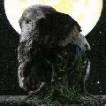 MISIA / ＡＳＣＥＮＳＩＯＮ