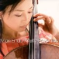 ENDO MARI / 遠藤真理 / サリーガーデン～チェロ・フェイ