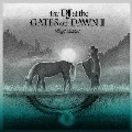 KENJI TAKIMI / 瀧見憲司 / DJ AT THE GATES OF DAWN 2